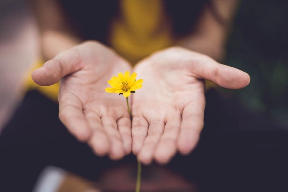 Forgiveness – A Way to Save My Marriage?