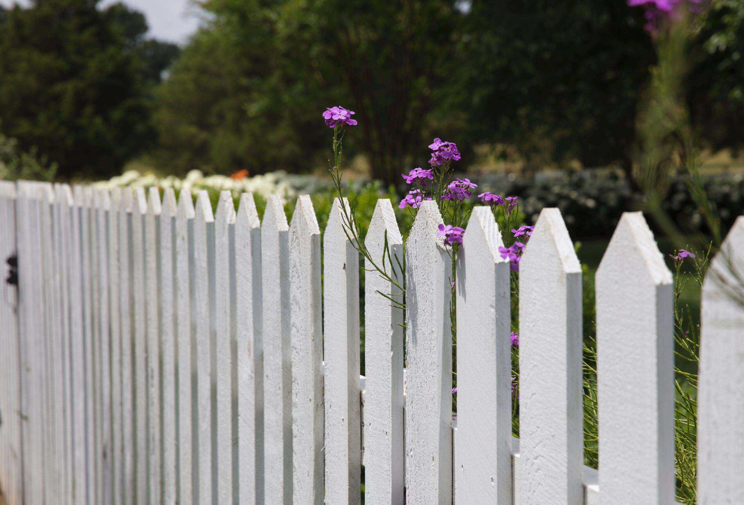 Setting Healthy Boundaries: Nurturing Relationships